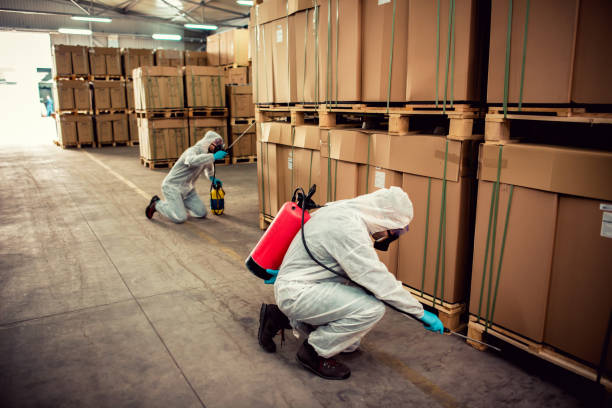 Best Emergency Pest Control  in Little Flock, AR