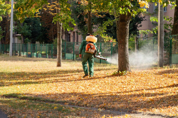 Best Cockroach Control Services  in Little Flock, AR