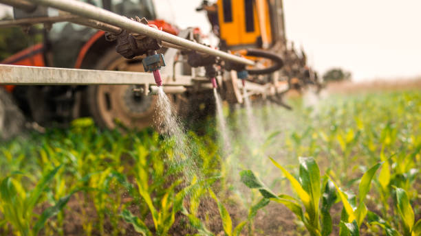 Best Mosquito Control Services  in Little Flock, AR